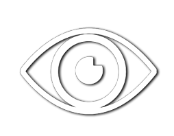 Vision Icon